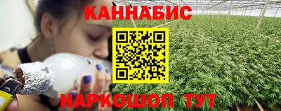Альфа ПВП Пушкино