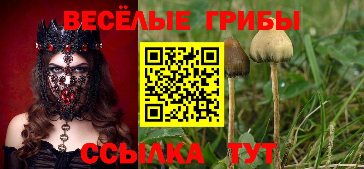 Псилоцибиновые грибы MAGIC MUSHROOMS  Псилоцибиновые грибы прущие грибы  Вход с VPN  где можно купить   Наро-Фоминск 