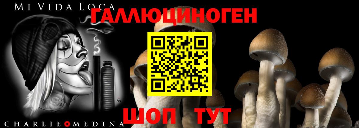 Галлюциногенные грибы мицелий Наро-Фоминск
